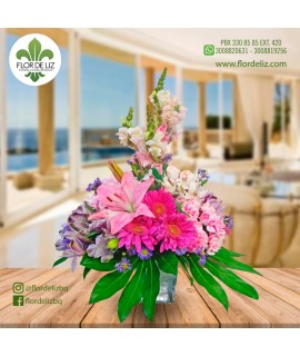 SILVESTRE REDONDO SILVESTRE REDONDO